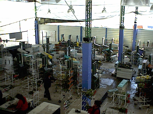poscosecha mesas de clasificación y boncheo de flores puestos estaciones de trabajo pos cosechas beneficiar selección clasificación de cosechas mesa para clasificar y seleccionar ergonómicas 00 salas de cosecha poscosecha mesas de clasificación y boncheo de flores puestos estaciones de trabajo pos cosechas beneficiar selección clasificación de cosechas mesa para clasificar y seleccionar ergonómicas 00 poscosecha mesas de clasificación y boncheo de flores puestos estaciones de trabajo pos cosechas beneficiar selección clasificación de cosechas mesa para clasificar y seleccionar ergonómicas 00
